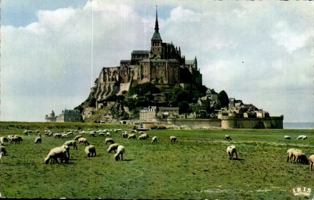 Mont-Saint-Michel — Ansicht mit Schafen — IRIS - Vorderseite