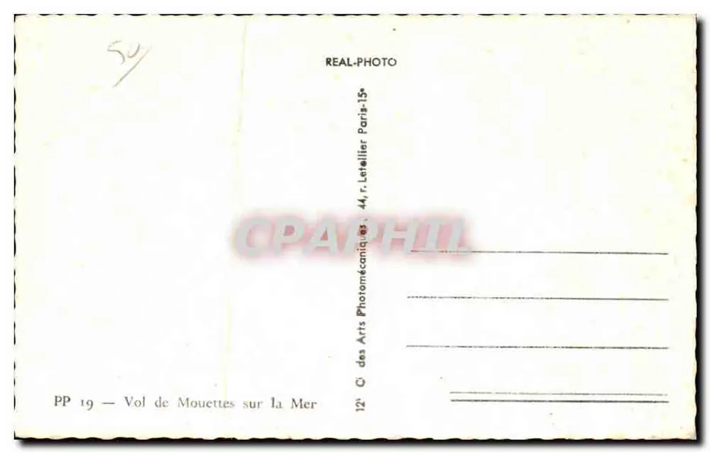 Seegansflug über das Meer — PP 19 — Verlag: C. des Arts Photomécaniques, Paris - Rückseite
