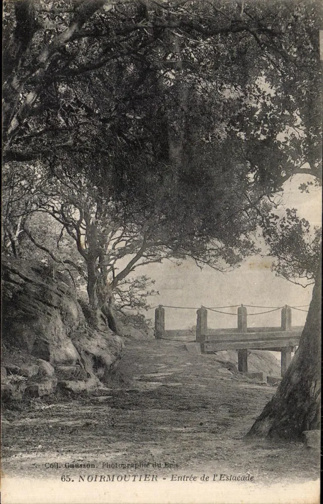 Noirmoutier - Entrada da Escalade — Coll. Gaussion, Fotografia do Bois, n°65 - Frente