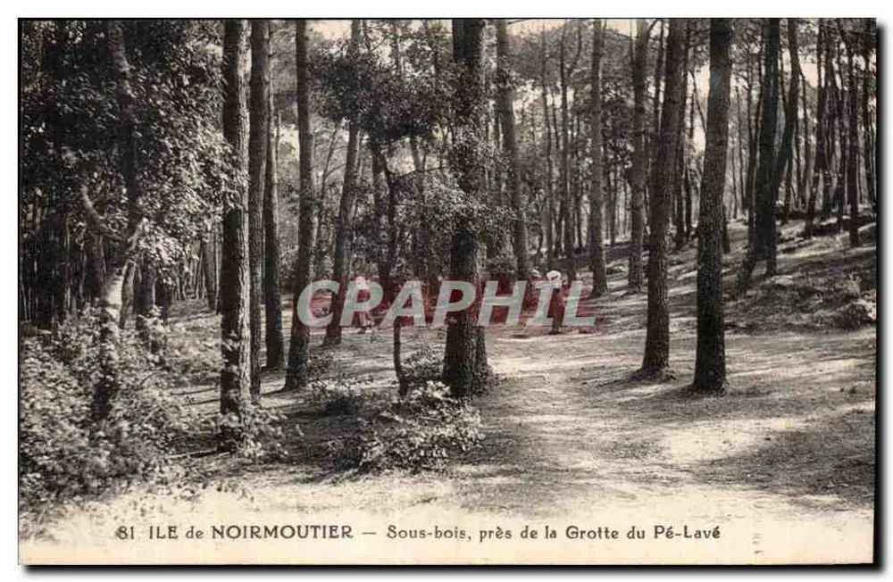 Insel Noirmoutier — Nadelwald nahe der Höhle Pé-Lavé - Vorderseite