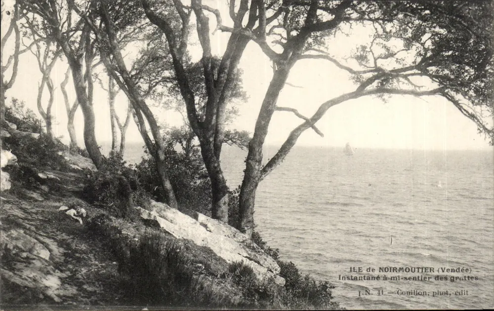Insel Noirmoutier (Vendée) — Schnappschuss in der Mitte des Pfades der Grattes — J.N. 11 — Comillon, phot. edit. - Vorderseite