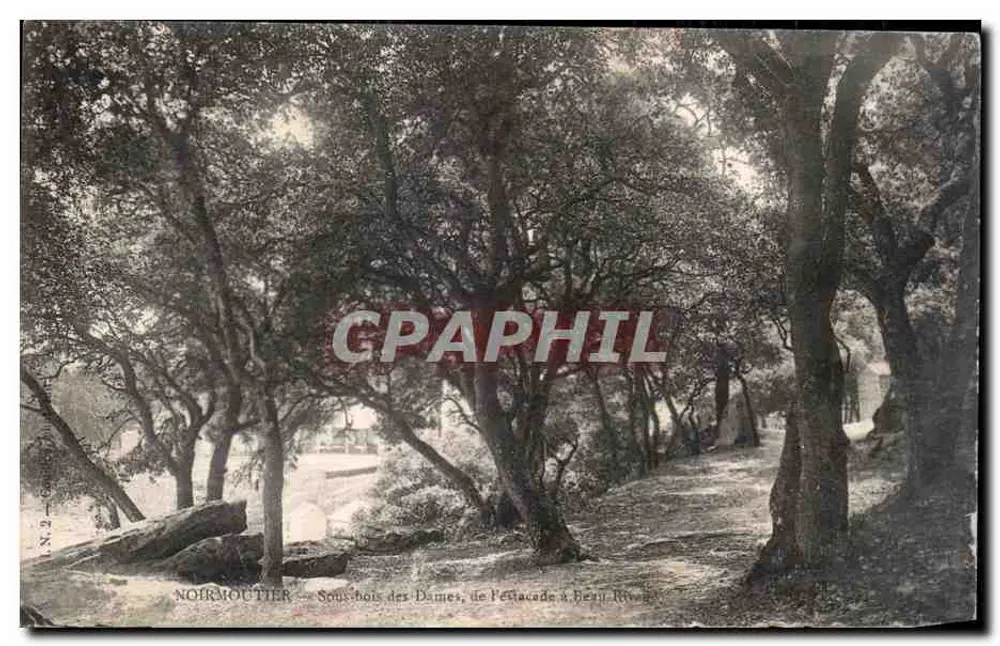 Noirmoutier — Unterholz der Damen, von der Estacade bis Henri Rivière - Vorderseite