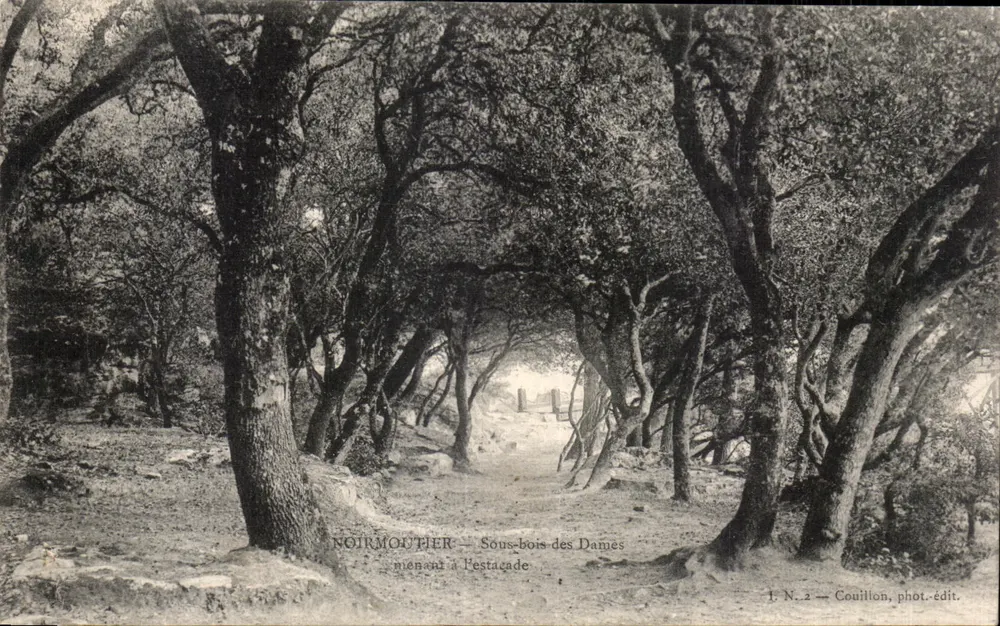 Noirmoutier — Onderbos van de Dames leidend naar de Estacade — N. 2 — Couillton, fot.-edit. - Voorkant