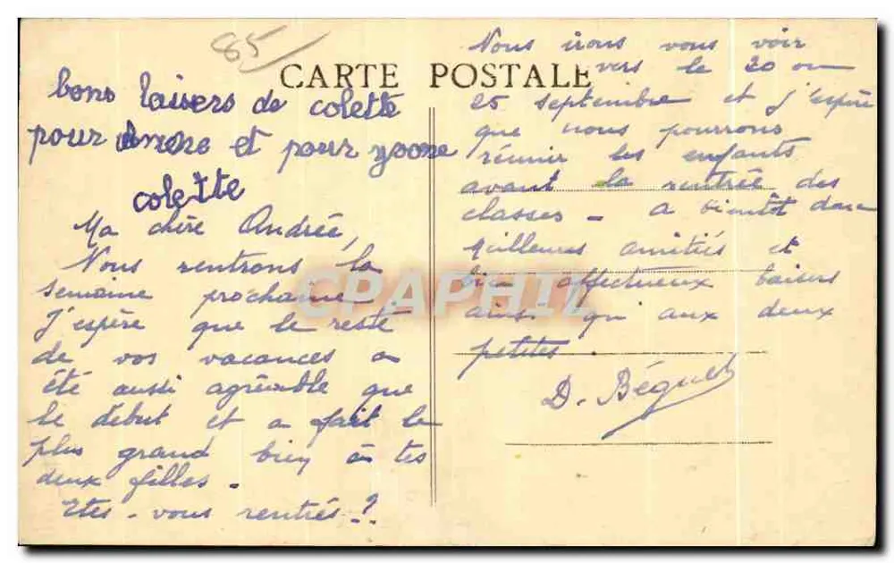 Isla d'Yeu (Vendée) — El Bosque de la Ciudadela — Ci. Couturier - Reverso