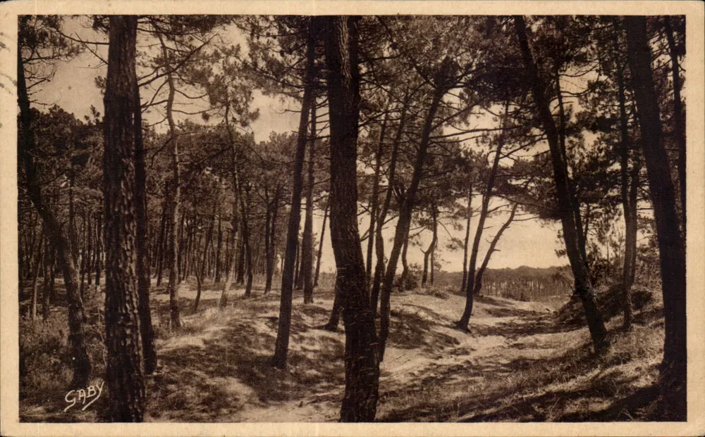 A Floresta — La Tranche-sur-Mer (Vendée) — Éditions Gaby - Frente