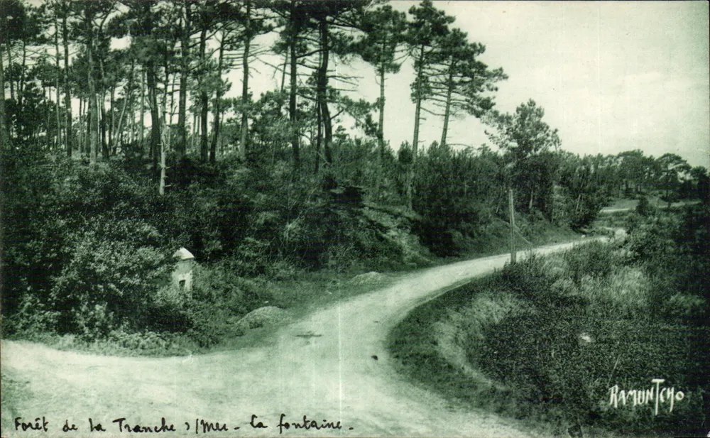 Forêt de la Tranche sur-Mer — La Fontaine — Éditions Artistiques Raymond - Vorderseite