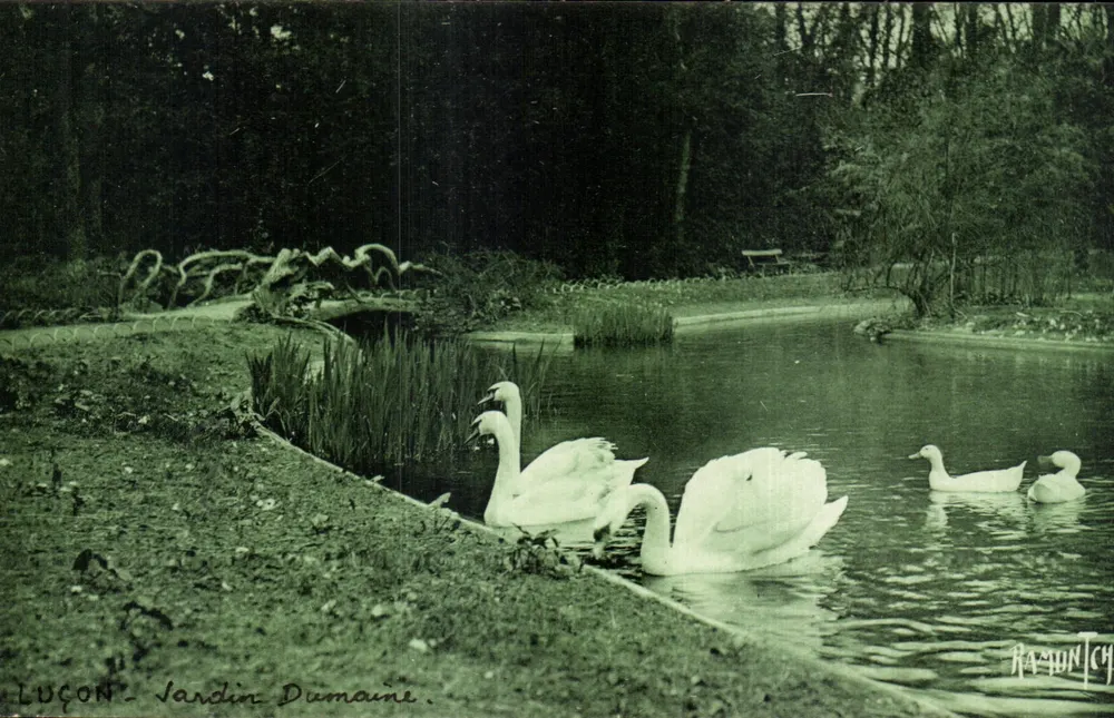 Luçon - Jardin Dumaine — Verlag: Raymond Bergevin - Vorderseite
