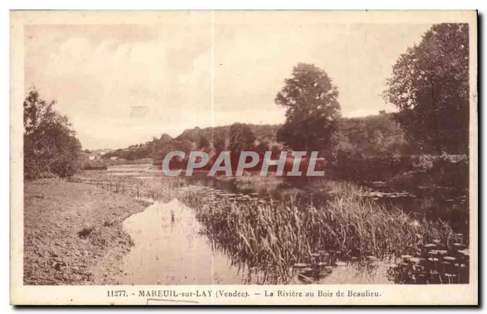 Mareuil-sur-Lay (Vendée) — Die Flusslandschaft am Bois de Beaulicu — Librairie Guitton, Mareuil-sur-Lay - Vorderseite