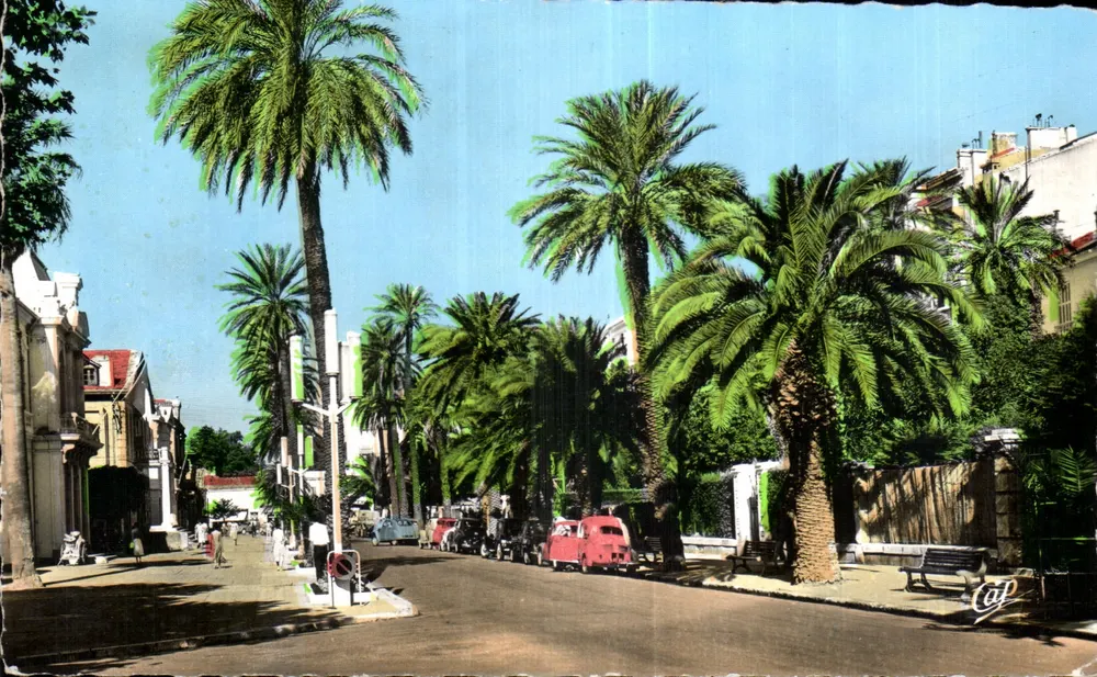 Avenue de Belgique — Hyères-les-Palmiers — Verlag Réal-Photo-Cliodes Arts Photo-Graphiques - Vorderseite