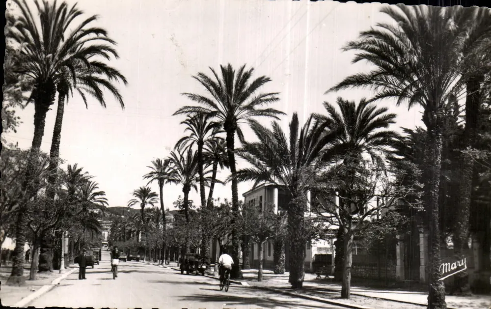 Hyères-les-Palmiers — Avenue Gambetta — Éditions N. Laugier - Vorderseite
