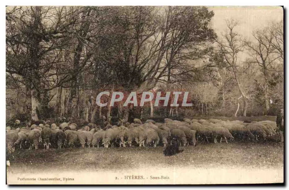 Hyères - Onderbos — Artistieke Uitgave, Hyères, nr. 2 - Voorkant