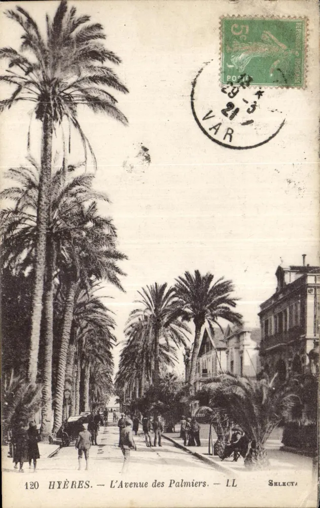 Hyères — L'Avenue des Palmiers — éditeur SELECT, n° 120 - Vorderseite