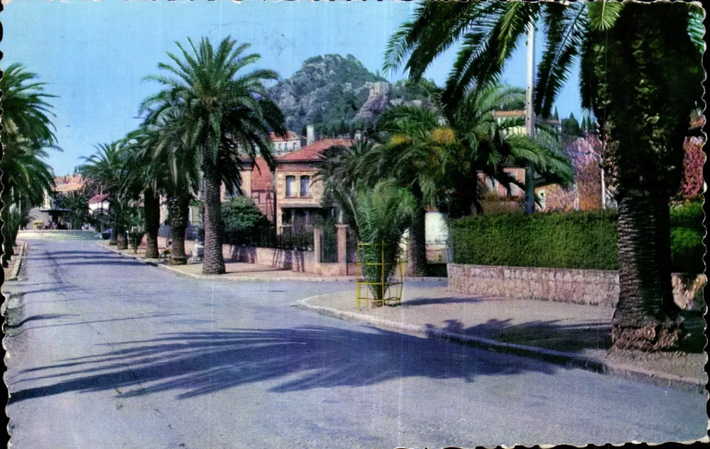 Die Palmen — Hyères, Avenue Godillot — Éditions ARTICOLOR - Vorderseite