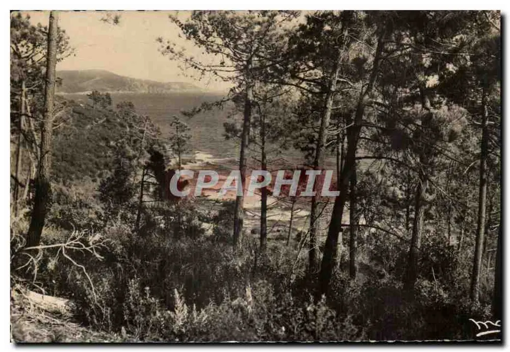 Aussicht der Côte d'Azur — Bon Porto — Editionen der Sammlung Leoni - Vorderseite