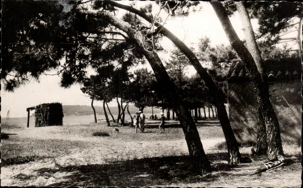 Strand der Croix, Pinewald — Cavalaire-sur-Mer — Editions D.A.R. - Vorderseite