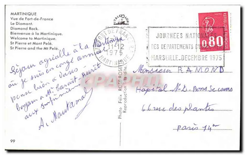 मार्टिनिका — मार्टिनिका के स्मृति — मार्टिनफिल - पीछे