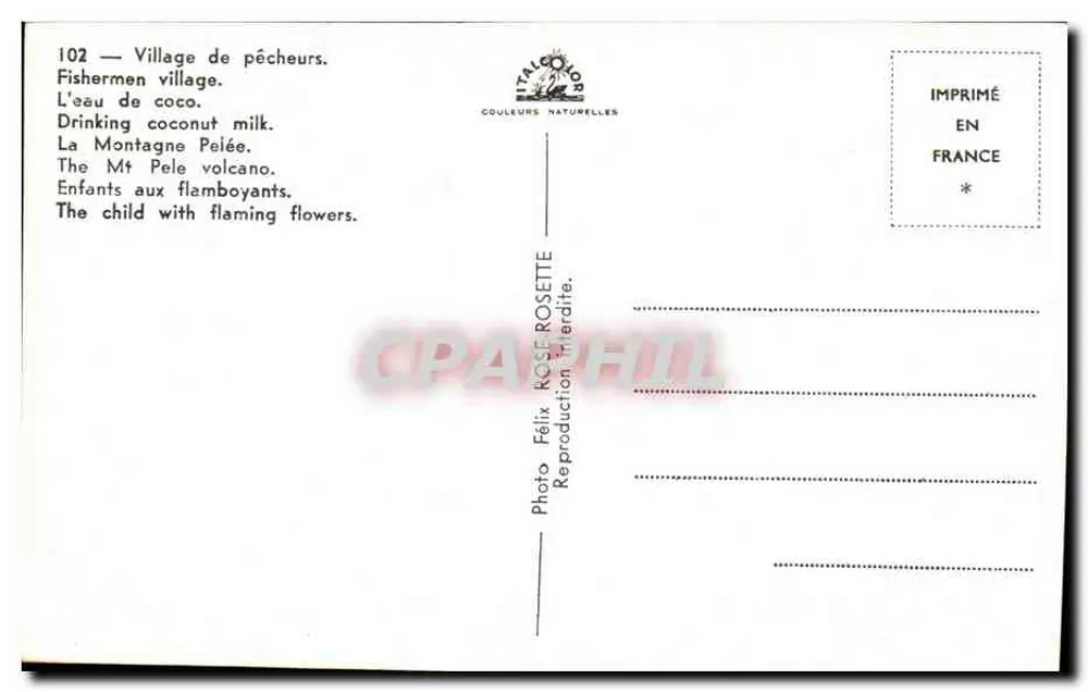 Souvenir da Martinica — 102 — Editor Italo-Couleurs Naturelles - Verso