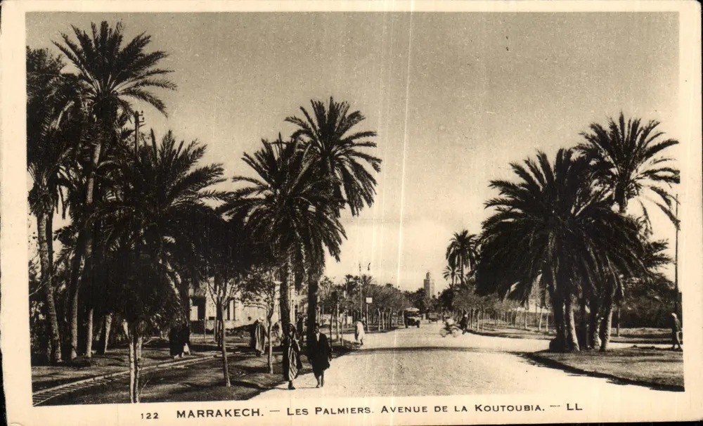 Marrakech — Die Palmen — Avenue de la Koutoubia — LL - Vorderseite