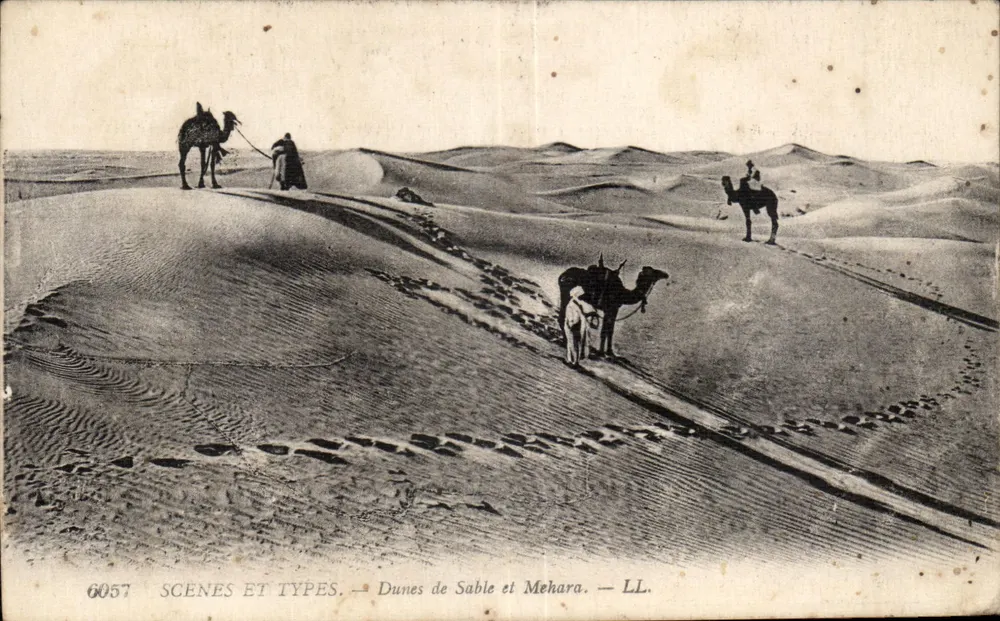 Sanddünen und Mehara — SCÈNES ET TYPES — LL. — n° 6057 - Vorderseite