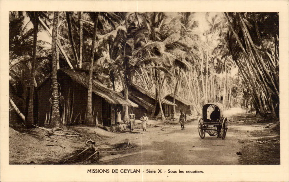 Unter den Kokospalmen — Missionen von Ceylon — Serie X - Vorderseite