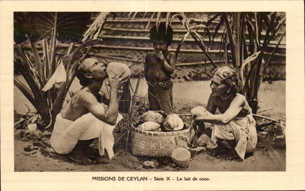La leche de coco — Misiones de Ceilán — Serie X - Anverso
