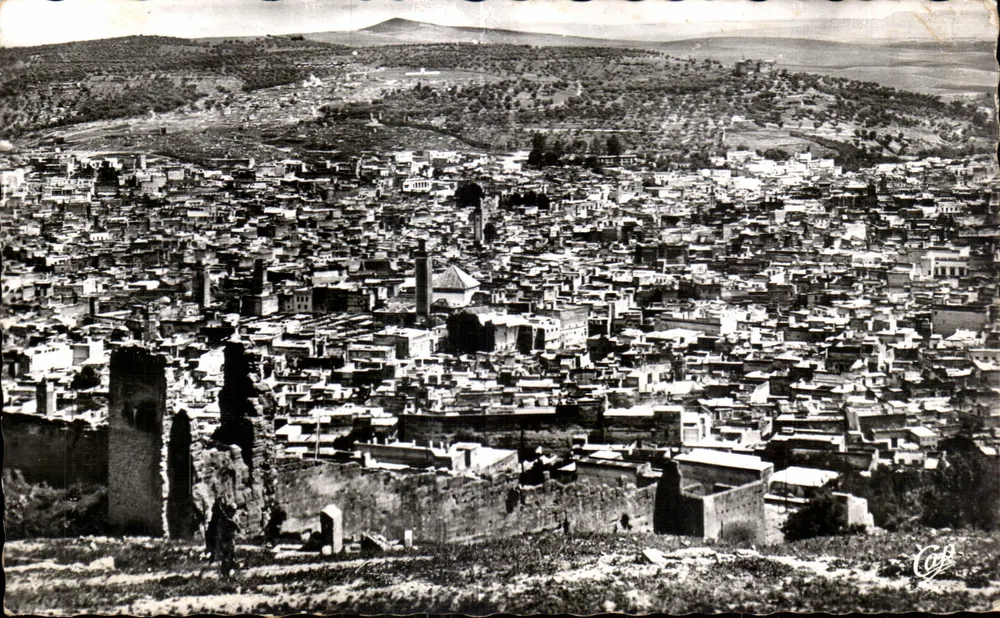 Fès - Panoramablick auf die Medina — REAL-PHOTO, n°267 - Vorderseite
