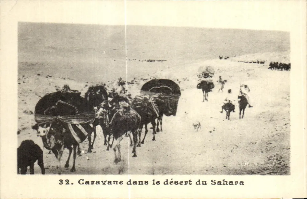 Carovana nel deserto del Sahara — scena di viaggiatori e dromedari — Fototipia Lescuyer, Lione, n°32 - Recto