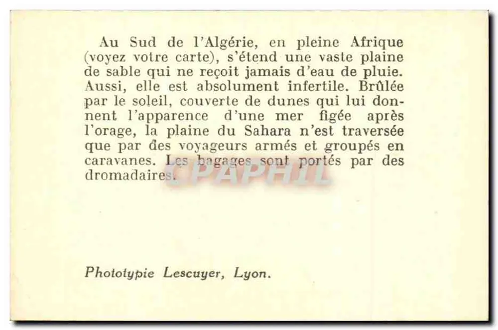 Carovana nel deserto del Sahara — scena di viaggiatori e dromedari — Fototipia Lescuyer, Lione, n°32 - Verso