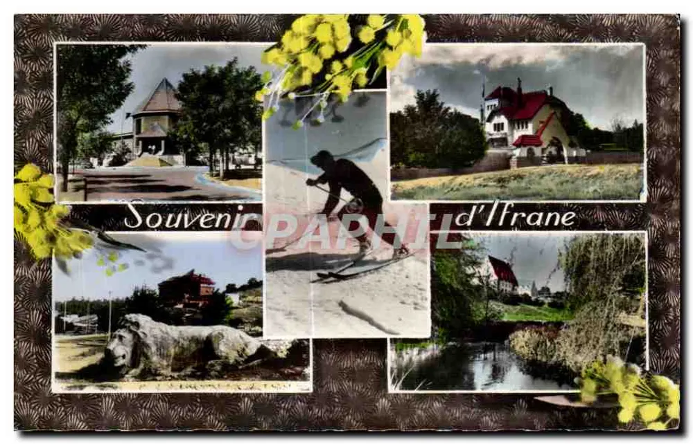 Souvenir d'Ifriane — Wyd. La Cigogne, nr 95.422.72 - Awers