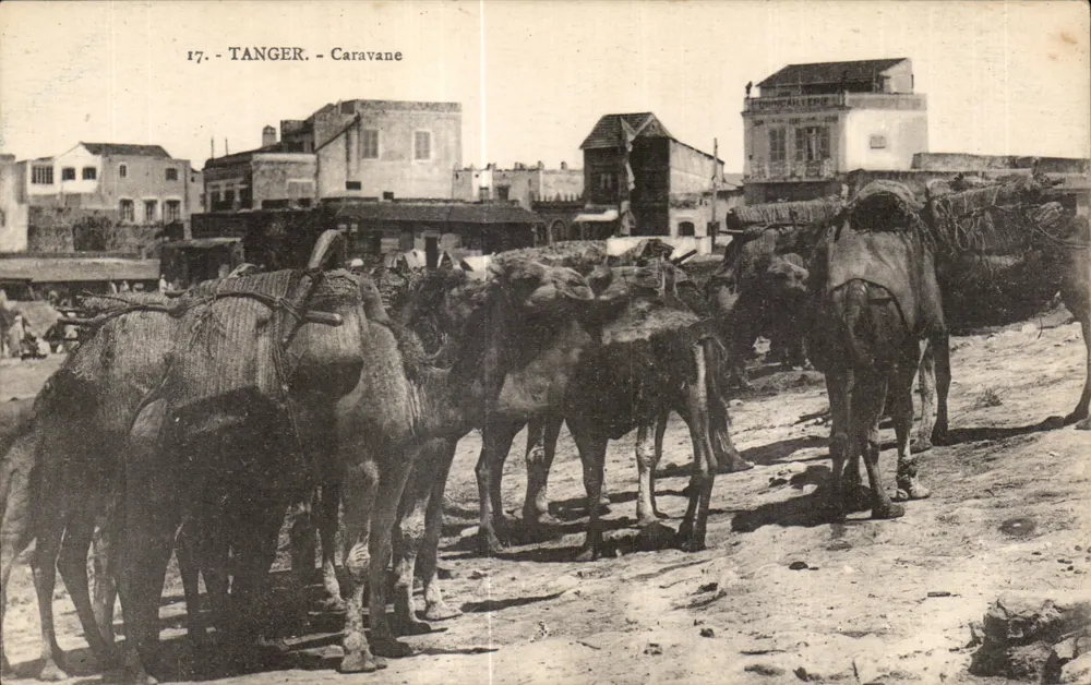 Tanger - Caravane — ansichtkaart n°17 - Voorkant