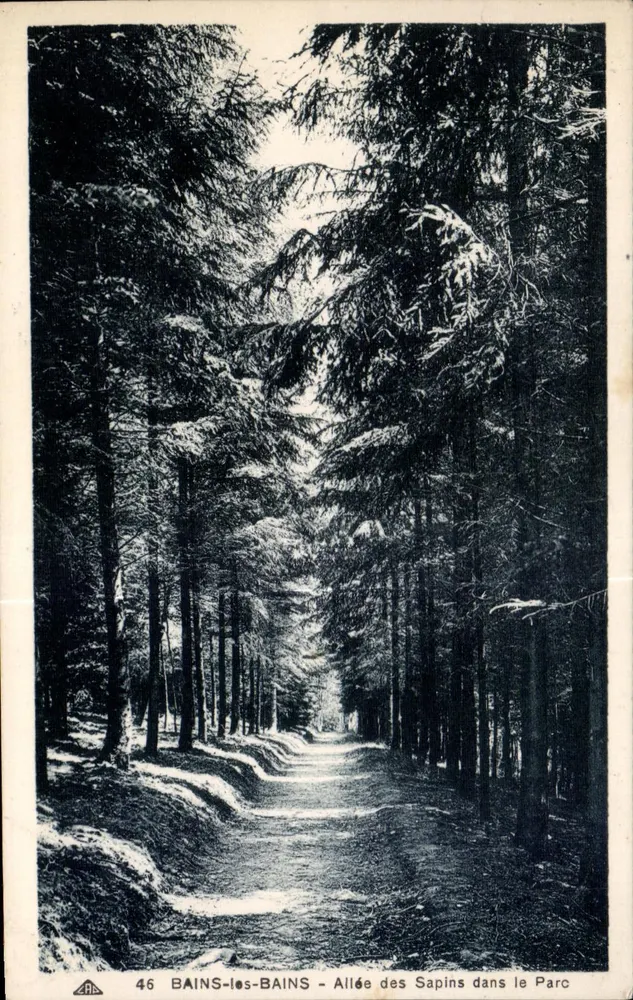 BAINS-les-BAINS — Pinienallee im Park — Verlag APAPHIL, Nr. 46 - Vorderseite