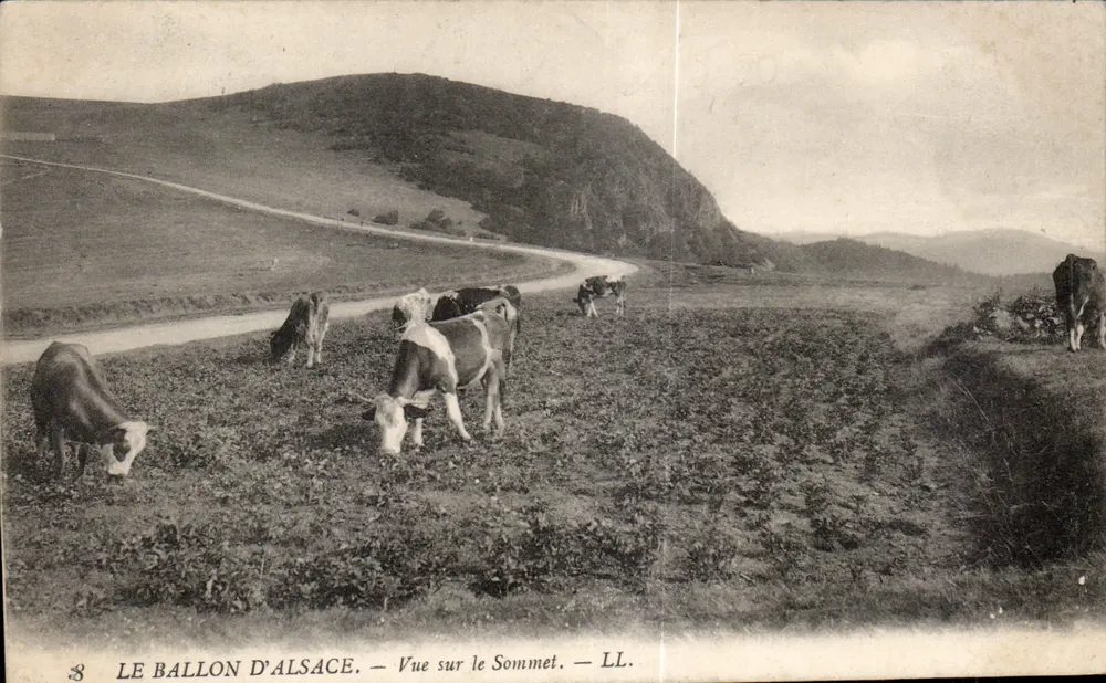Der Ballon der Elsass — Aussicht auf den Gipfel — LL. - Vorderseite
