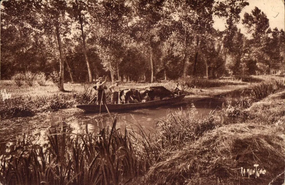 Le Marais Poitevin — Viehtransport — Éditions Artistiques Raymonde Bergevin - Vorderseite
