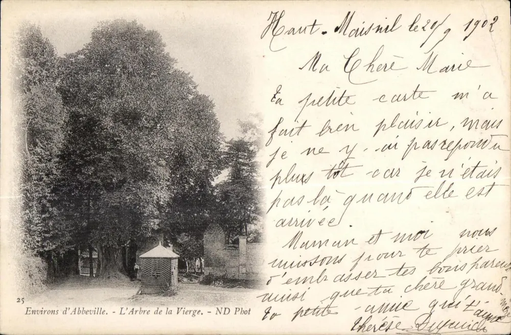 Ambiente de Abbeville - A Árvore da Virgem - ND Phot - Frente
