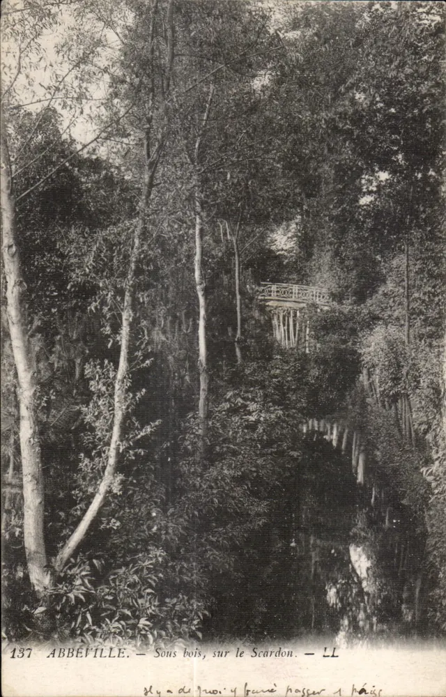 Abbeville — Sotto bosco, sul Scardon — LL - Recto