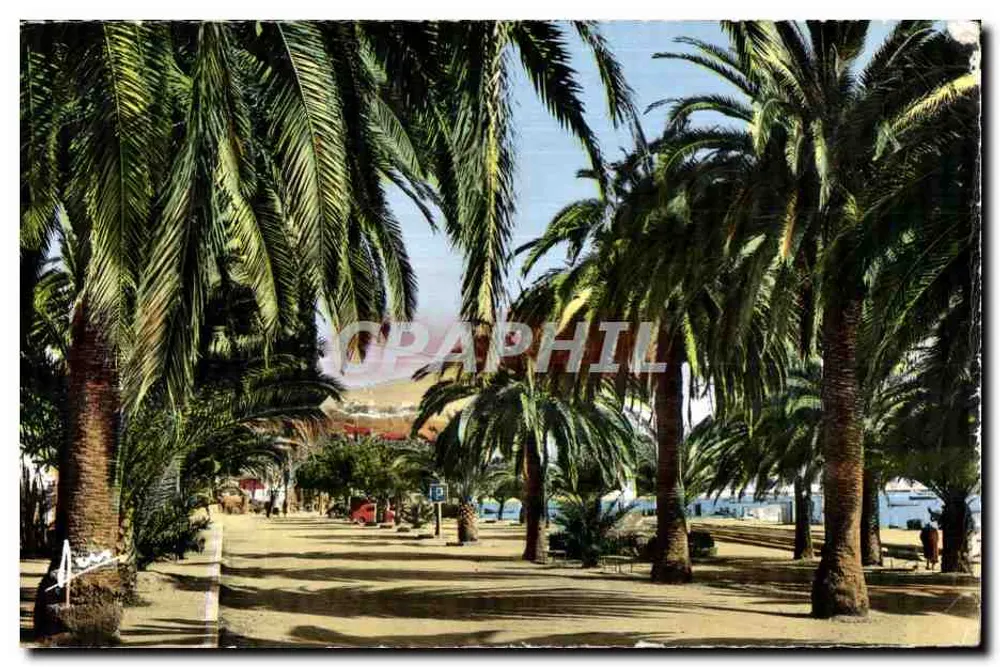 Avenida Alfred Vivien — Bandol — Edições ARIS - Frente