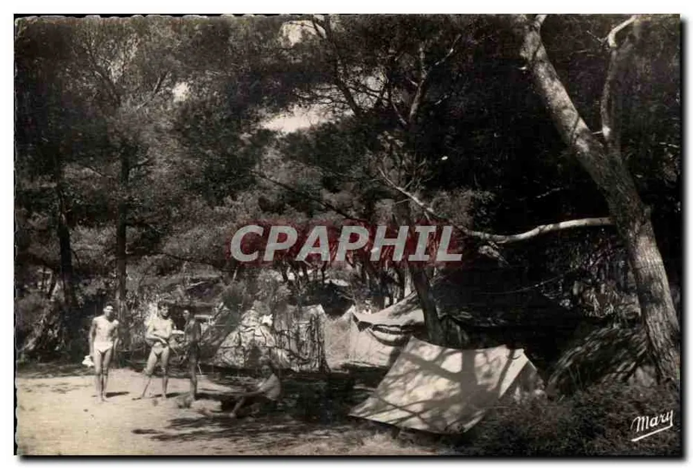 Camping na floresta — Editor Mary, n°308 - Frente