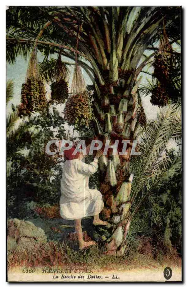 Zbieranie datków — SCÈNES ET TYPES — LL. — n° 0160 - Awers