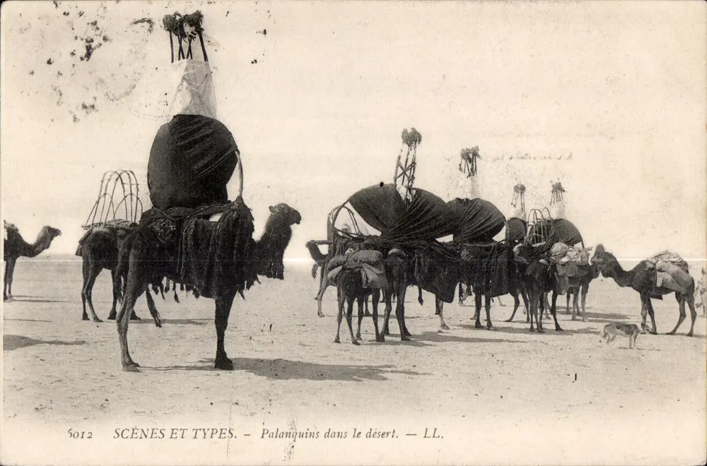 Palanquins im Wüste — SCÈNES ET TYPES. — LL. — N° 5012 - Vorderseite
