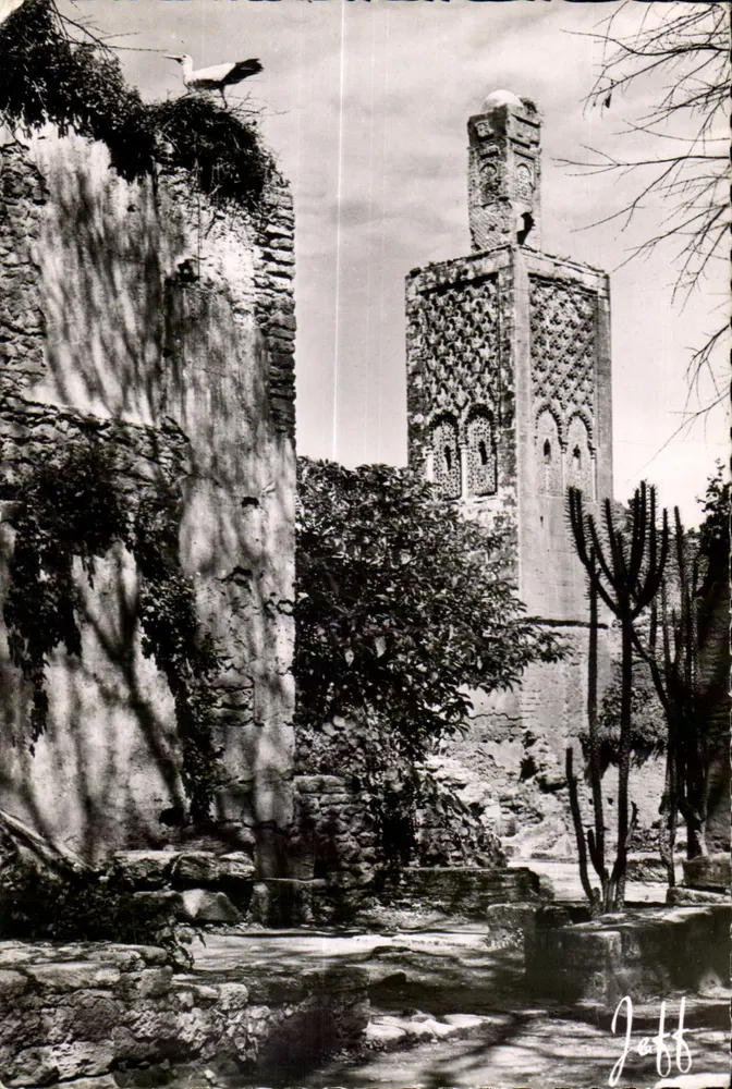 Ruínas de um jardim com minarete — Jaffa — Edições JEFF, 7, rue de Louvain, Rabat - Frente