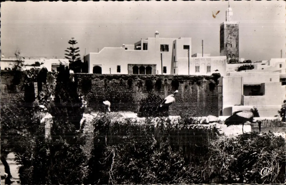 Rabat — Os Oudalas — As Corujas — Cap'Post - Frente