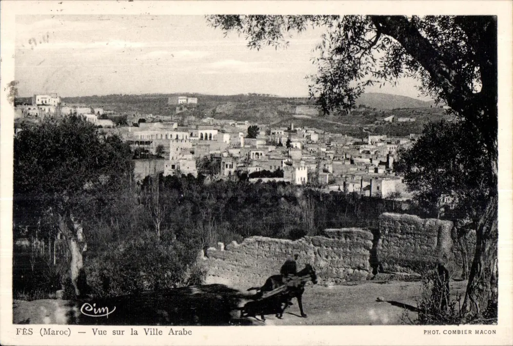 Fès (Marokko) — Ansicht der arabischen Stadt — Fotografie von Combier Macon - Vorderseite