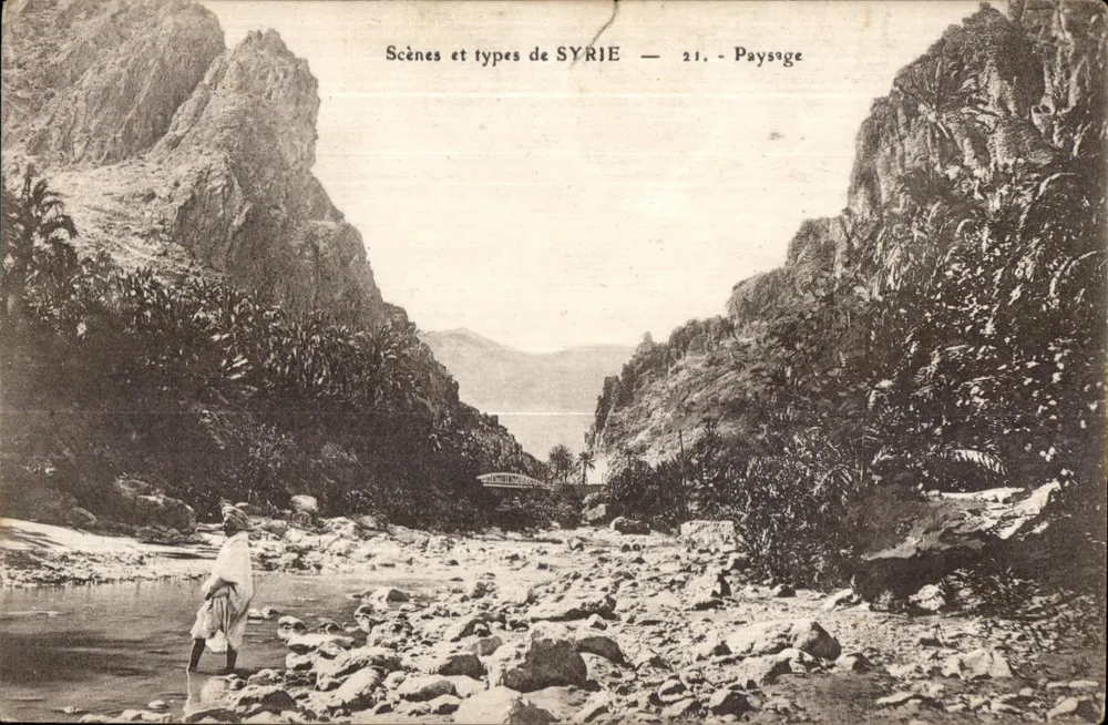Scènes et types de SYRIE — 21. - Paysage — Éditeur : A. Angot, Beyrouth - Frente