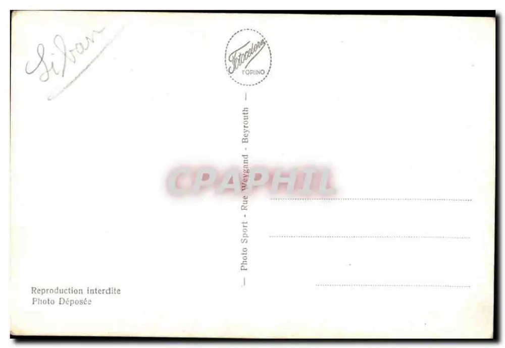 Síria - Camelo — 1066 — editor Fotocelena Torino - Verso
