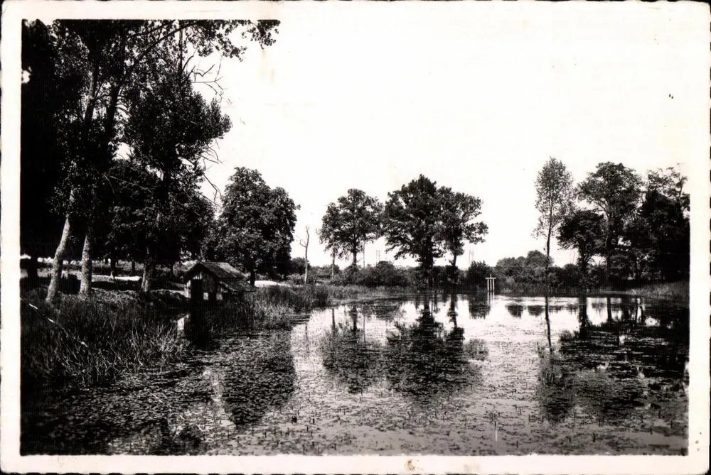 Etang de la Chauvinière — Pré-en-Pail (Mayenne) — Imp. Photo A. Dolbeau, Le Mans - Vorderseite