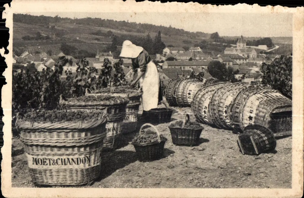 Scène de vendange — Moët & Chandon — éditeur Breguer Frères, Mesnil-sur-Oger - Vorderseite