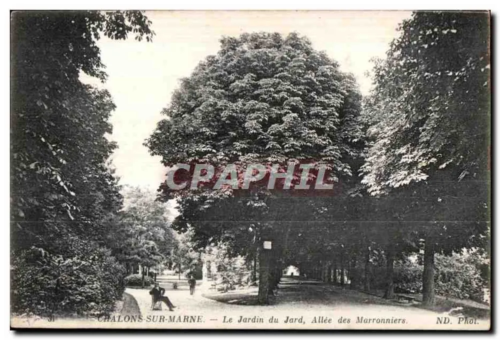 Chalons-sur-Marne — Der Jardin du Jard, Allée des Marronniers — ND. Phot. - Vorderseite