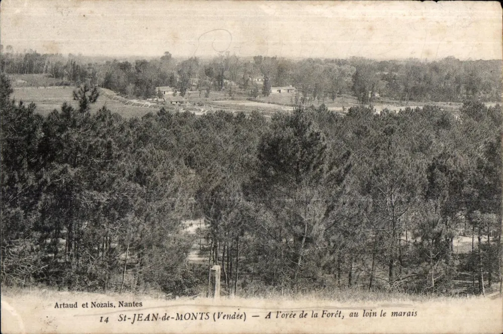 St-Jean-de-Monts (Vendée) — Am Rand des Waldes, im Hintergrund das Sumpfgebiet — Verlag Artaud et Nozais, Nantes - Vorderseite