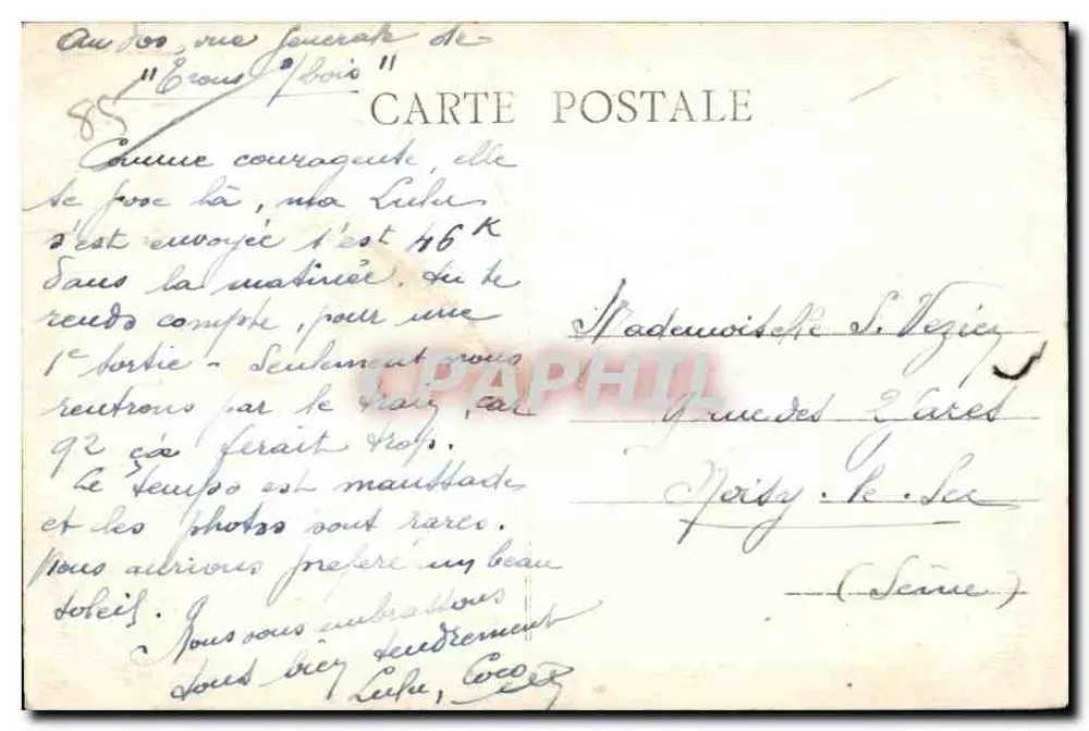 St JEAN-de-MONTS - Sous Bois — Vista de floresta com escada — Coll. Lerouz - Verso