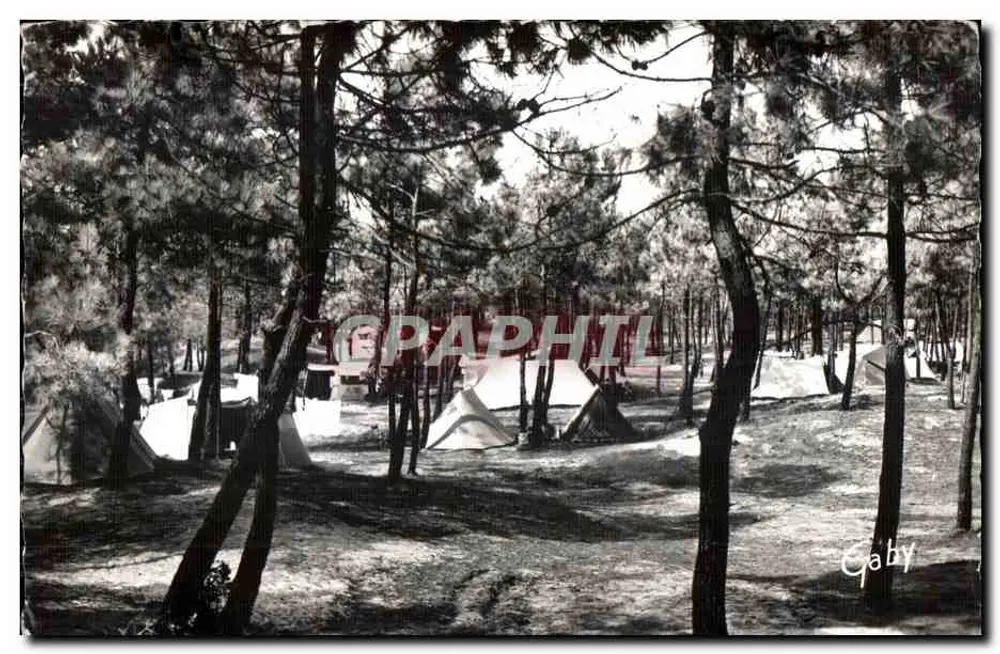 Camping dans les pins — Notre-Dame-de-Monts (Vendée) — Éditions Gaby - Frente